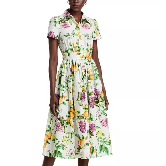 AQUA Cotton Lemon Print Fit & Flare Poplin Shirt Dress – Size XS – NWT – $128